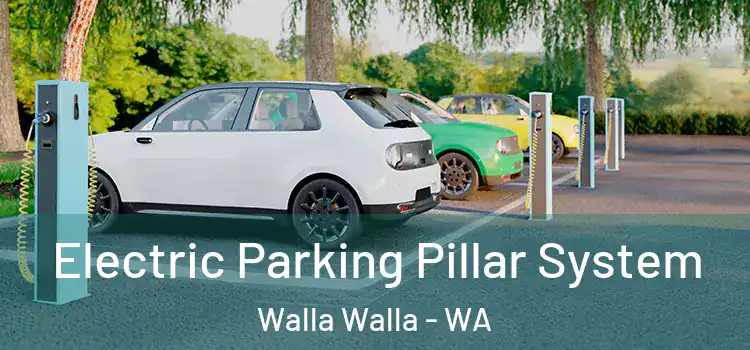 Electric Parking Pillar System Walla Walla - WA
